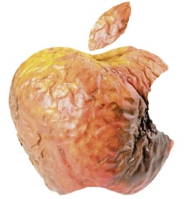rotted apple